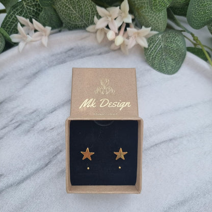 Stardom Huggie Earring